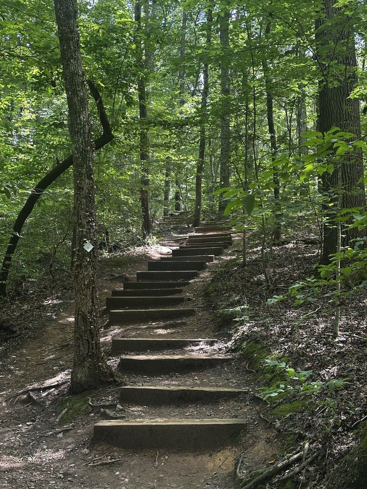 Neelum Valley & Azad Kashmir – 7 Days / 6 Nights - Day 5